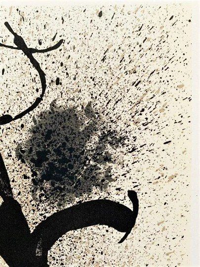 Grafica & Litografie: Joan Mirò - Originallithographie 1972 – Usato da Ponte Tresa venduto da 11GalleriaAlterEgo11 8