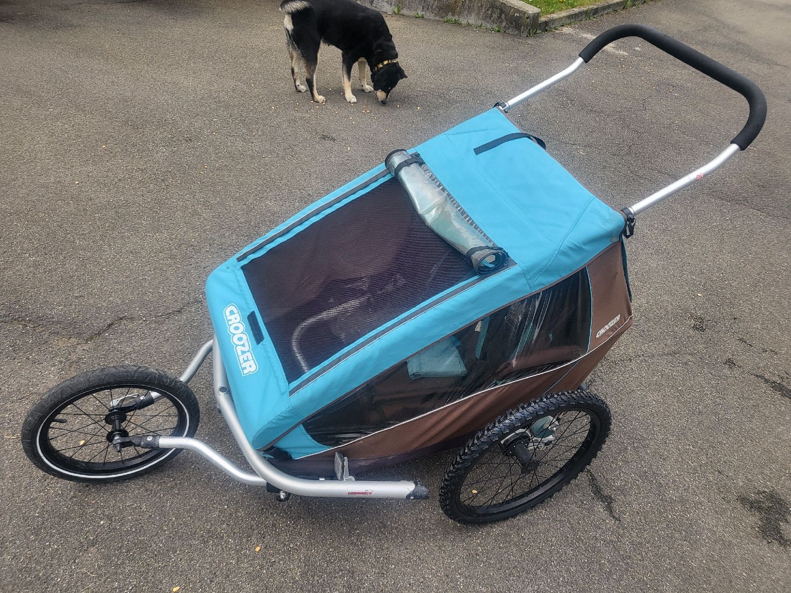 Croozer Rimorchi: Croozer Kid 2 Veloanhänger – Usato da Blumenstein venduto da RetroK 1