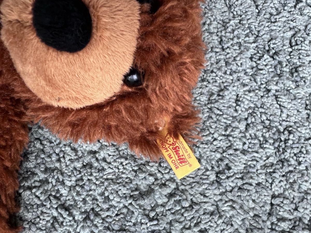 Steiff Spielzeuge: Steiff Teddy unbespielt - Absolut neu! – Neu (gemäss Beschreibung) aus Wil SG von ooMariposaoo 2