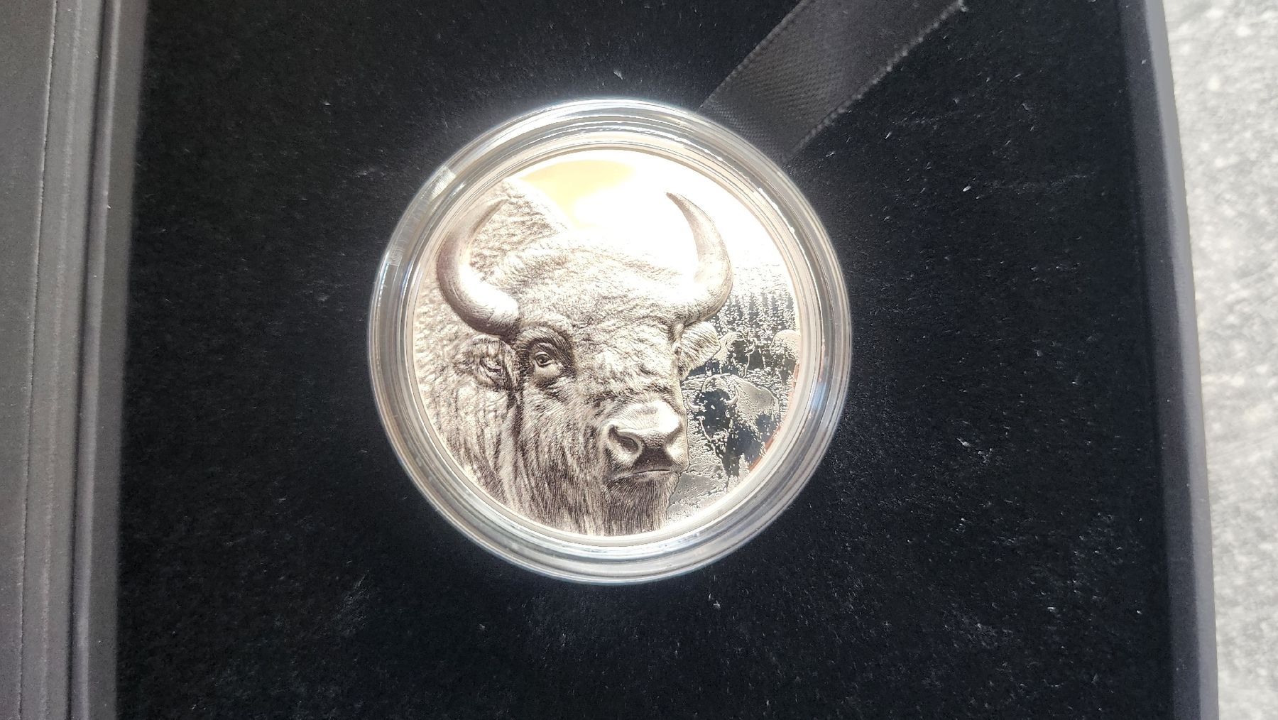 Tutti le monete: Mongolia Buffalo 2025 Proof 1 oz Silber Togrog – Nuovo e nell'imballaggio originale da Petit-Lancy venduto da SilverCoinCoin 4
