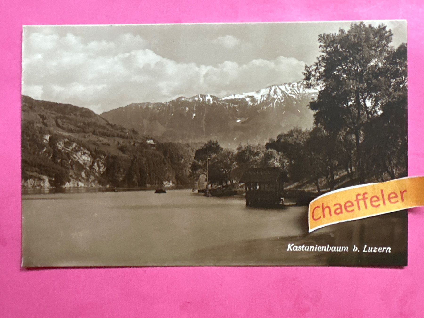 Cartoline postali: Kastanienbaum bei Luzern – Usato da Zürich venduto da Chaeffeler
