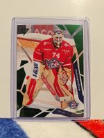 Sportzoo. Ivars Punnenovs 20/30. SC Rapperswil-Jona