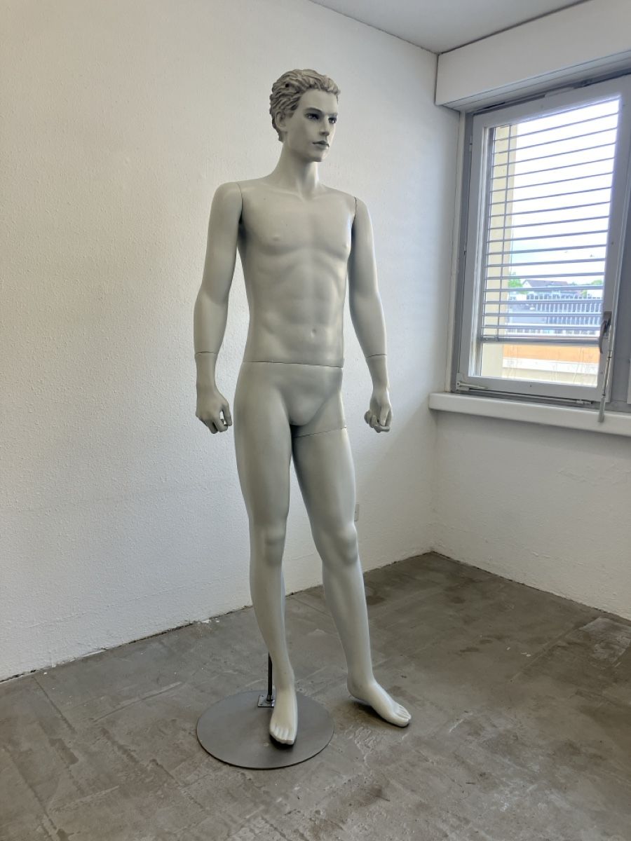 Altro in Decorazioni & Accessori: Schaufensterpuppe Mann grau – Usato da Zürich venduto da eti_6pbl