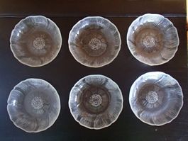 6 Arcoroc France kleine Glasschalen