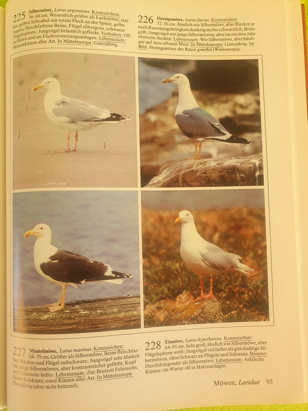 Bücher: Fotoatlas der Vögel – Gebraucht aus Steinhausen von joseph-sen 6