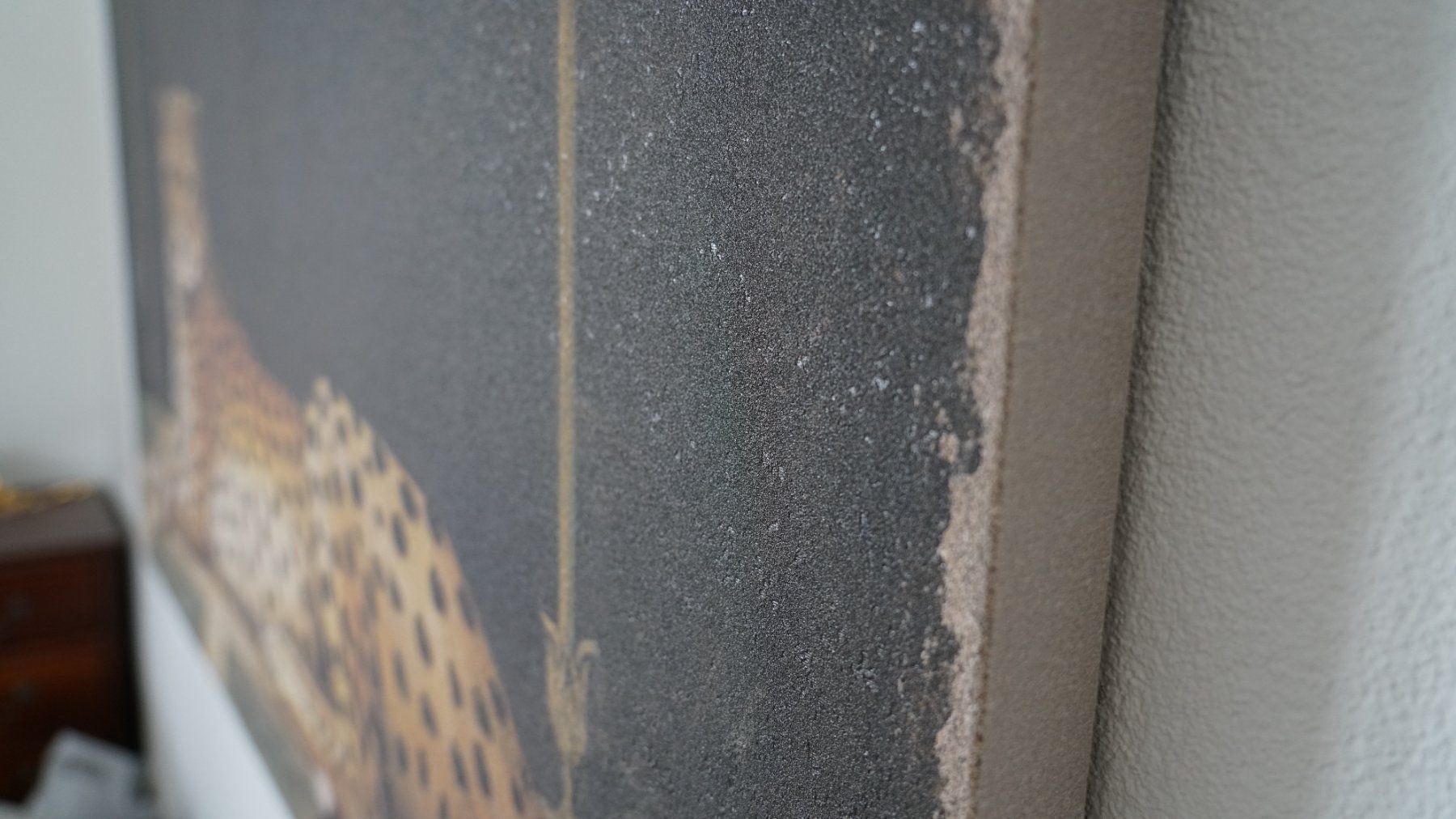 Poster & Bilder: Bild Gepard "Ghepardo Pompei" 140 x 90cm – Gebraucht aus Holderbank AG von Gute-Artikel 2