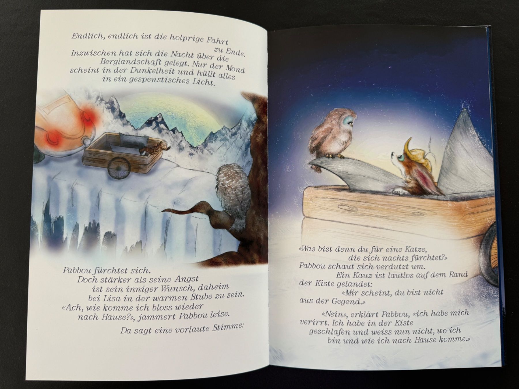 Libri: 2 x Kinderbuch - Kater Pabbou – Nuovo (secondo la descrizione) da Zollikon venduto da Krenapf 8