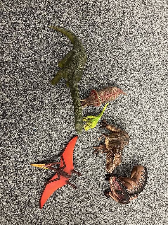 Schleich Giocattoli: Schleich Dino Set – Usato da Möriken AG venduto da Cmanchester