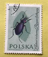 Briefmarken aus  Polen gestempelt  Siehe Original Fotos.