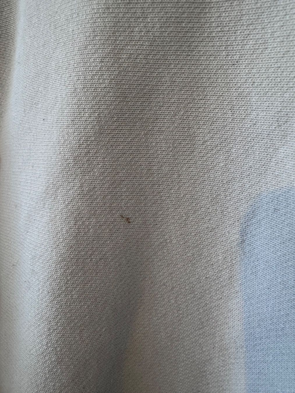 Champion Maglioni & Felpe: Champion Crewneck Reverse warm up Weave Size S – Usato da Neuchâtel venduto da _Easy_to_Find_ 7