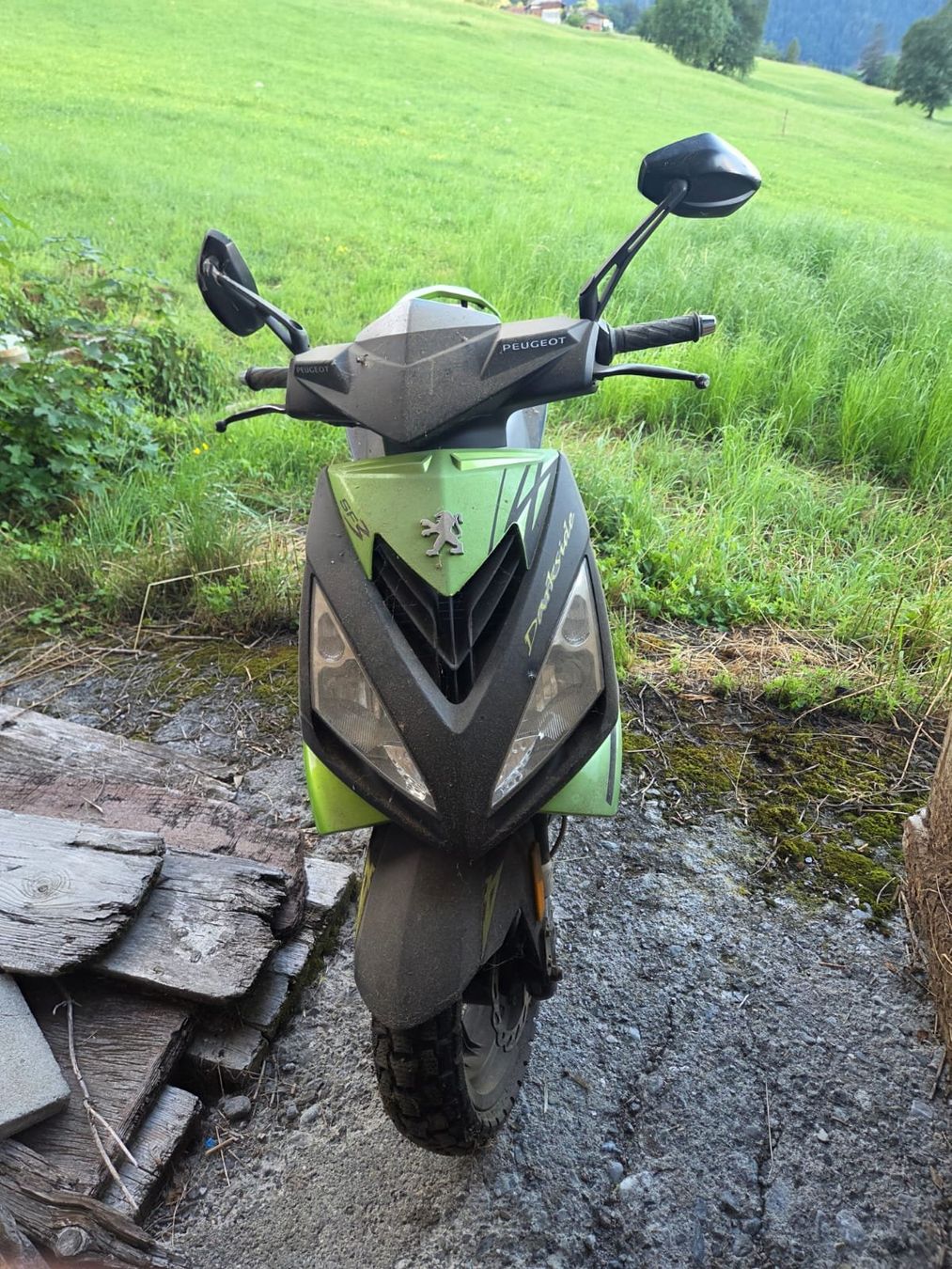 Peugeot Scooter: Peugot Speedfight Roller – Usato da Scharnachtal venduto da von_Kaenel