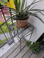 Blumenhocker / Pflanzenständer aus Metall  Vintage-Stil