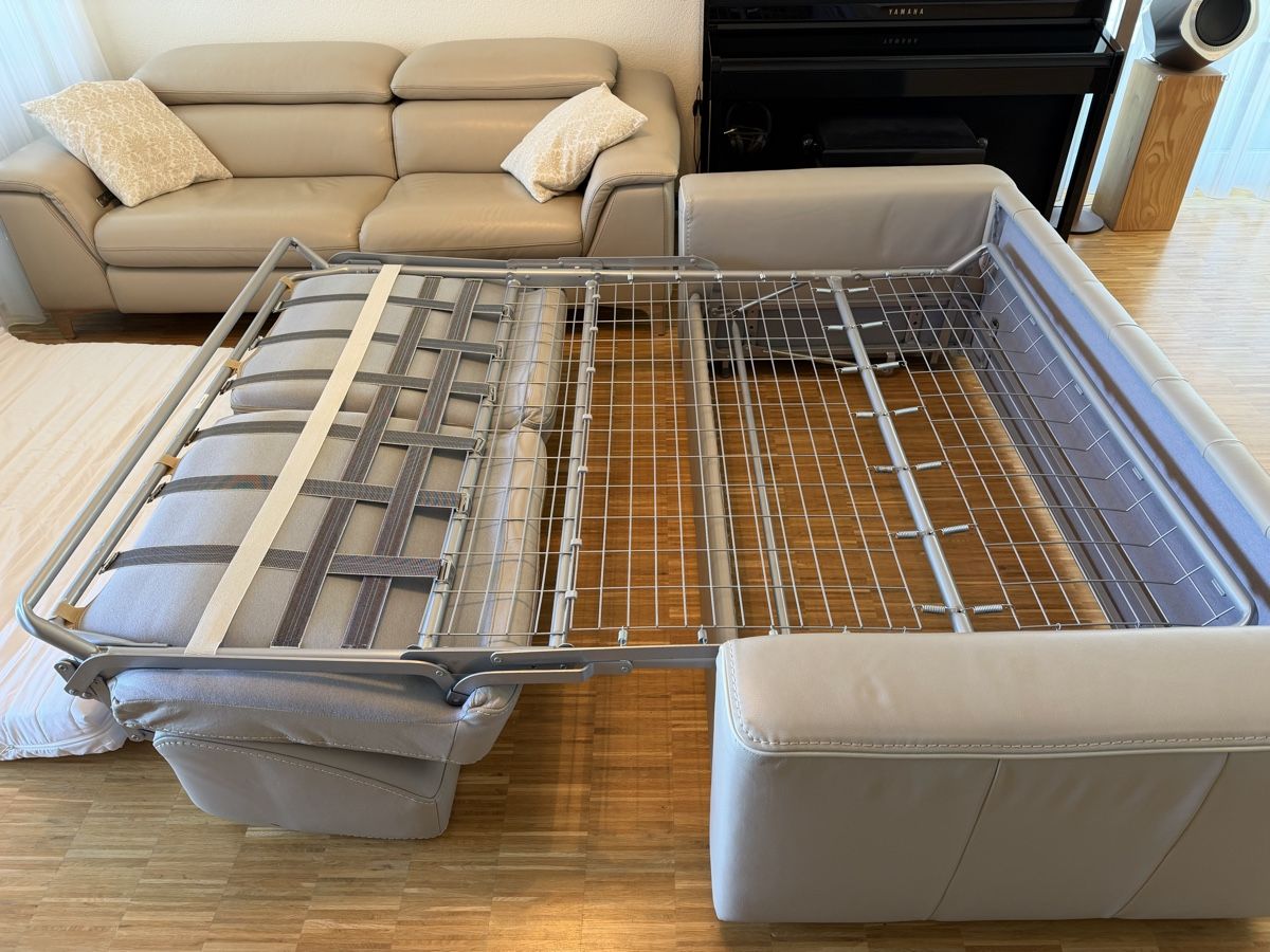 Divani: Tipptopp elegantes Ledersofa Bettsofa Sofa – Usato da Pfäffikon SZ venduto da Zitrone_100 5