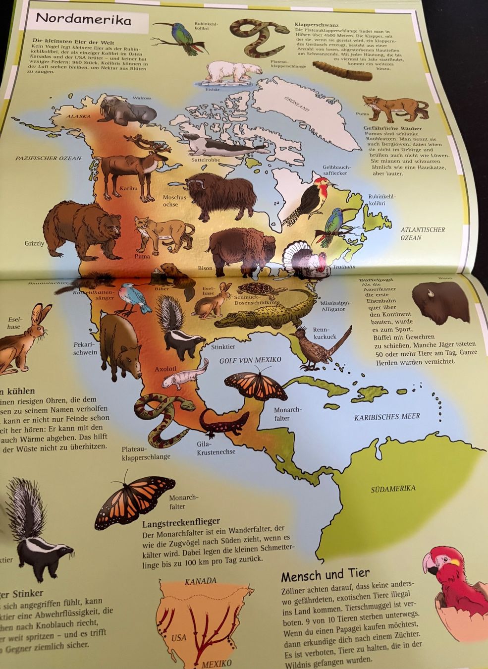 Libri: Kinderatlas ,,Tiere“ – Usato da Adliswil venduto da Myxin 7