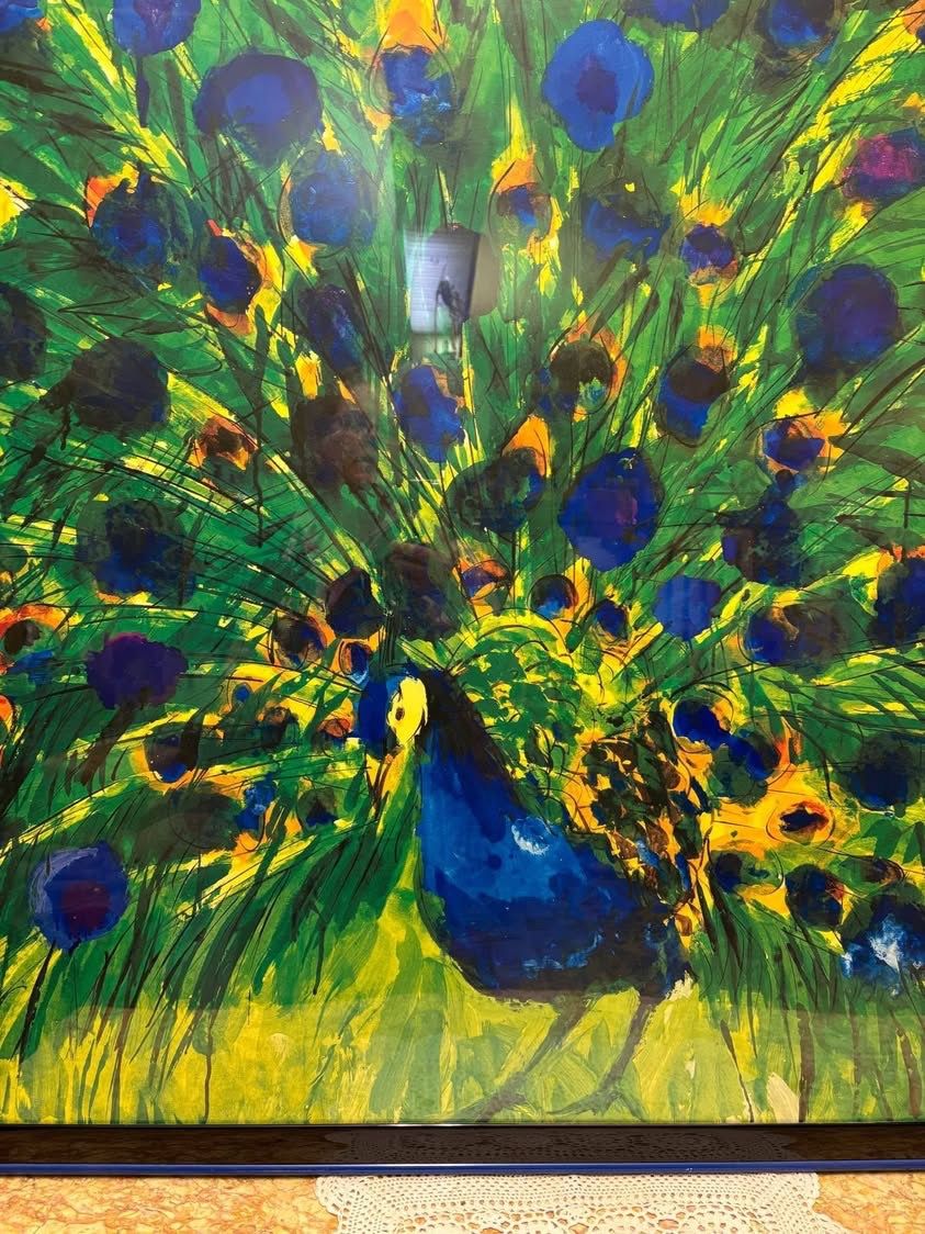 Foto & Immagini: Kunstdruck Pfau Alurahmen – Usato da Hindelbank venduto da brm_72zv 2