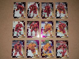 SportZoo National League 25/26, Parallel Pink, SCL Tigers