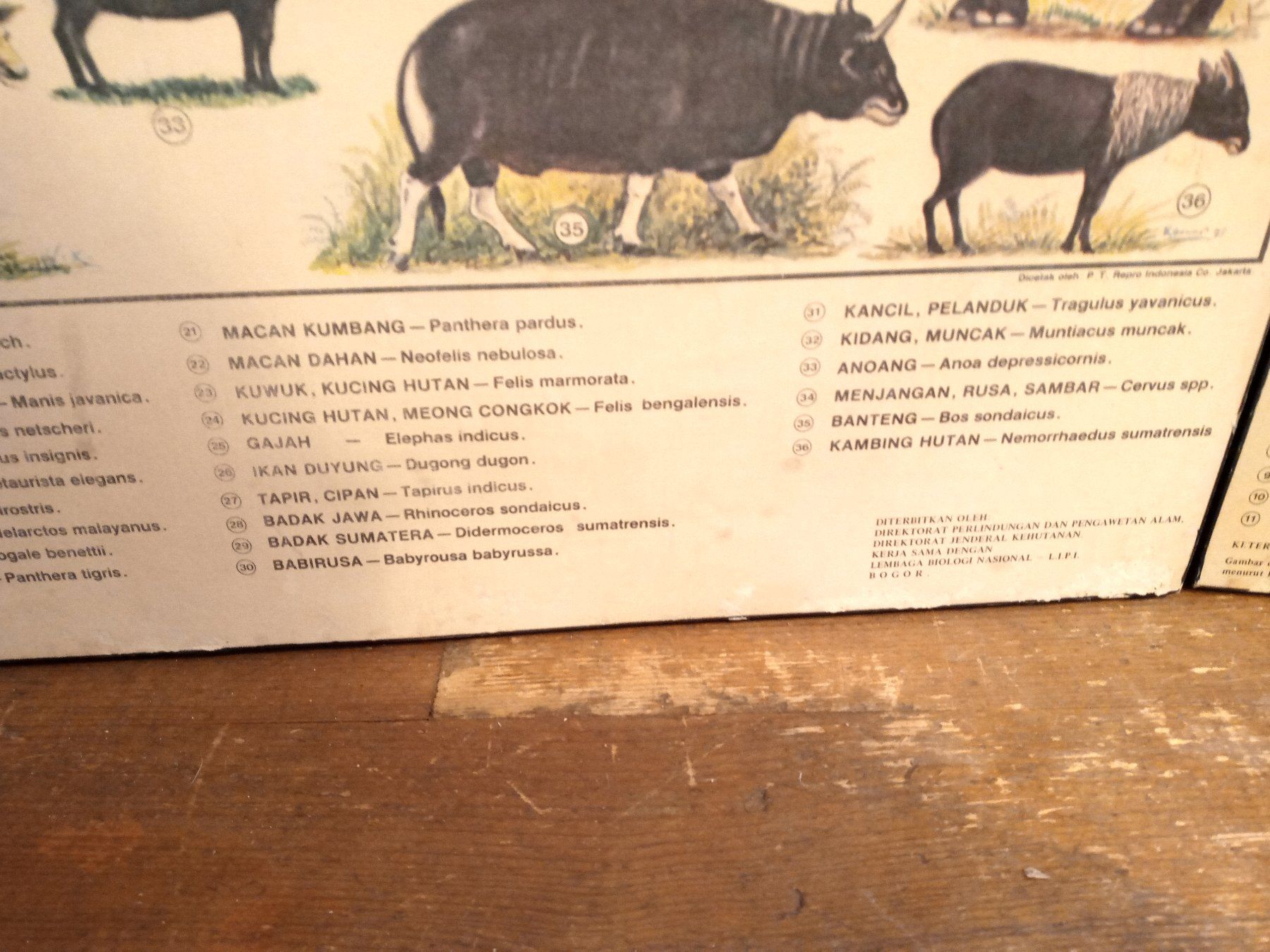Foto & Immagini: 2 alte Plakat aus 70er – Usato da Prez-vers-Siviriez venduto da Monija70 3