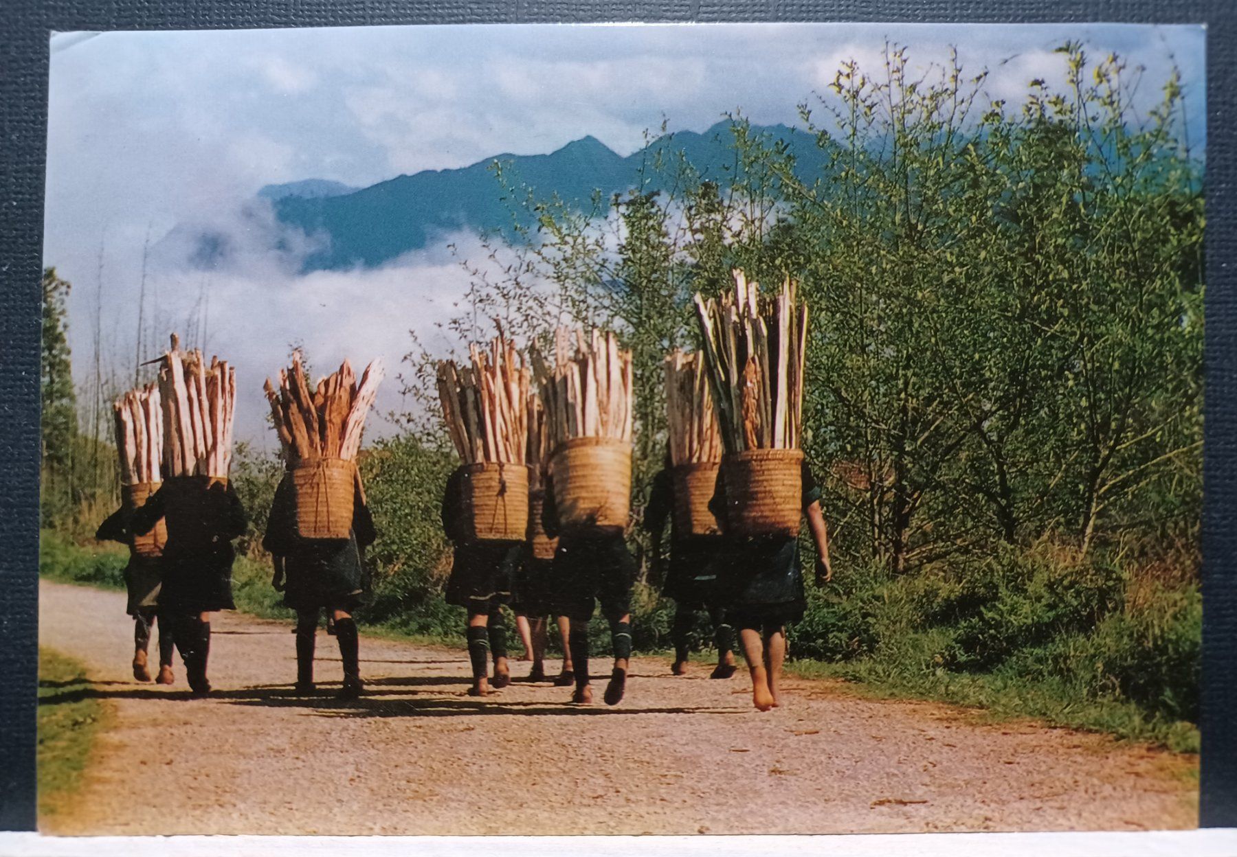 Ansichtskarten: Nord Vietnam, 2007 – Gebraucht aus Aarau Rohr von mgvw