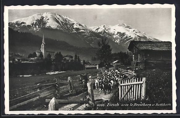 Cartes postales: Fiesch, Ortsansicht mit Ziegenherde, Bre – D'occasion à Berlin par bartko-reher