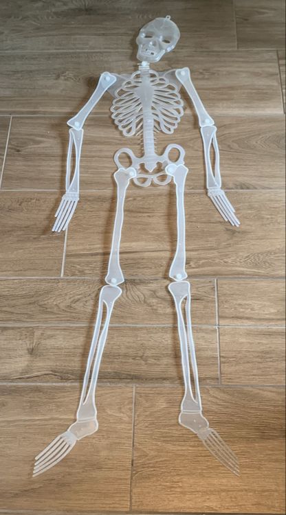 Halloween Deko Set – Skelettarm Mit LED & Beweglichem Schädel