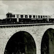 Profile image of histrionica