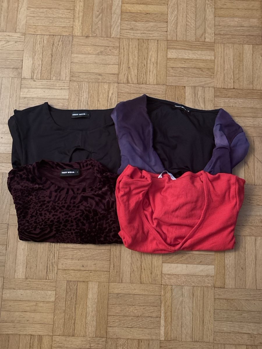 Tally Weijl Lotti di vestiti: Langarm Tops Set – Usato da Basel venduto da Mig_Sil04