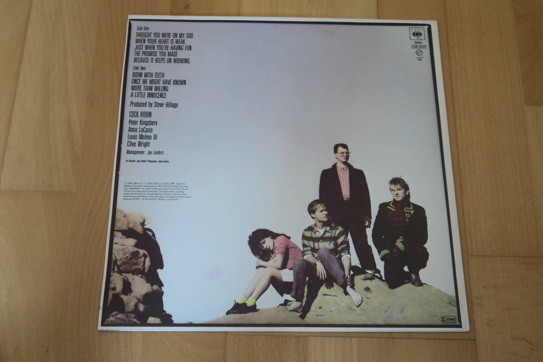 Dischi in vinile: Cock Robin – Cock Robin – Usato da Thun venduto da Karibu70 1