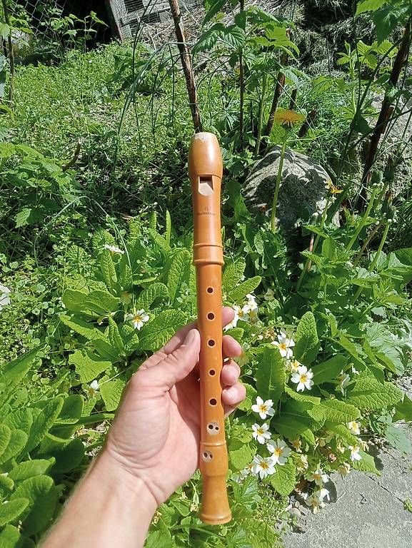 Musikinstrumente: Blockflöten Mollenhauer – Gebraucht aus Staufen von leo_d5c7