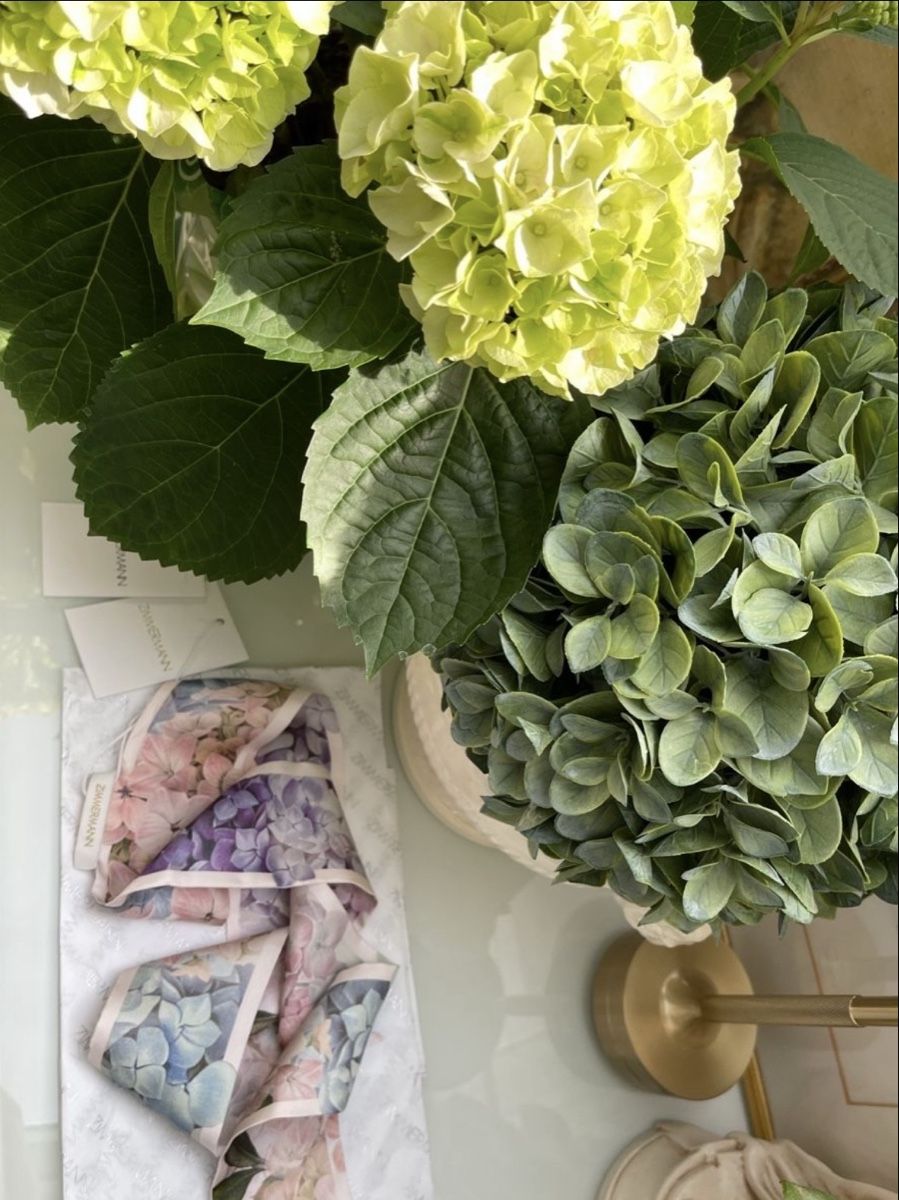 Foulard & Sciarpe: Zimmermann Seidentuch / Silk Ribbon Scarf Hydrangea NEU – Nuovo (secondo la descrizione) da Winkel venduto da Luxtime 6