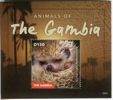 Block "Igel". Gambia