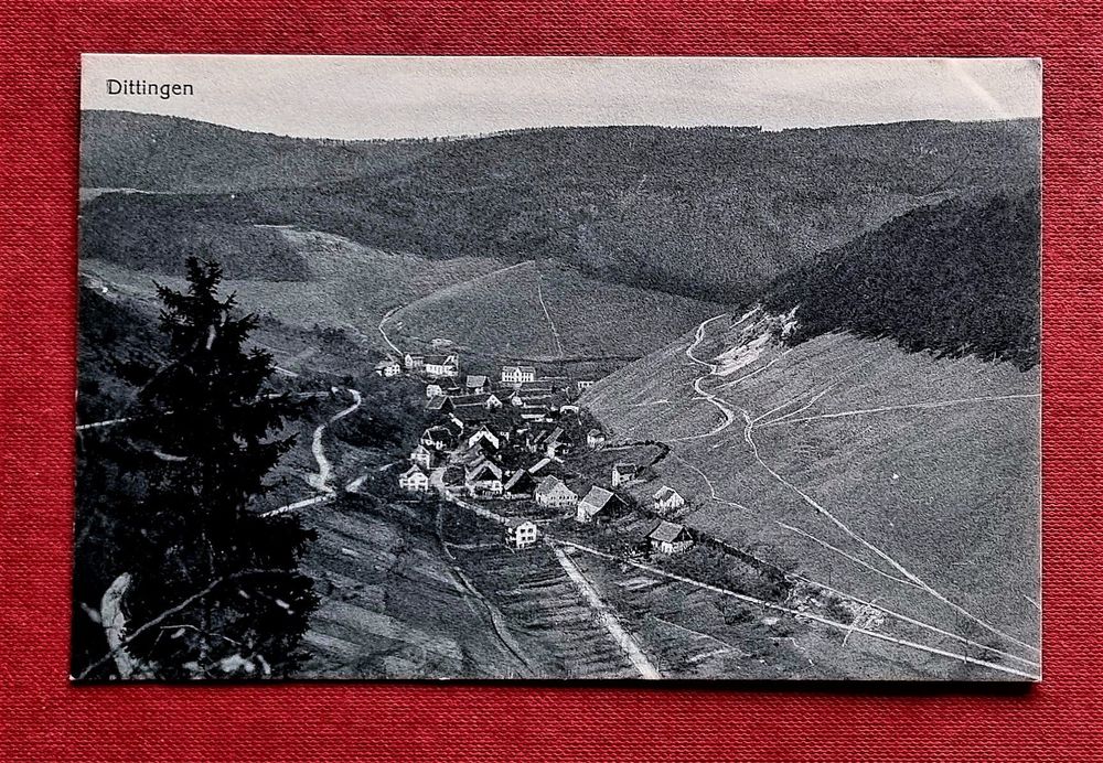 Dittingen Alte Karte Kaufen auf Ricardo