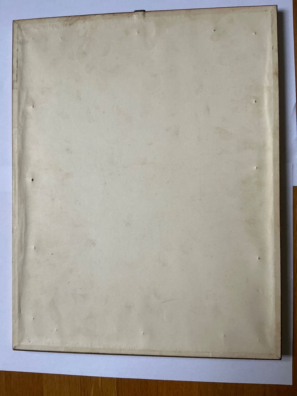 Foto & Immagini: Bild Rosen P.J. Redouté – Usato da Maur venduto da 20hcodracir11 7