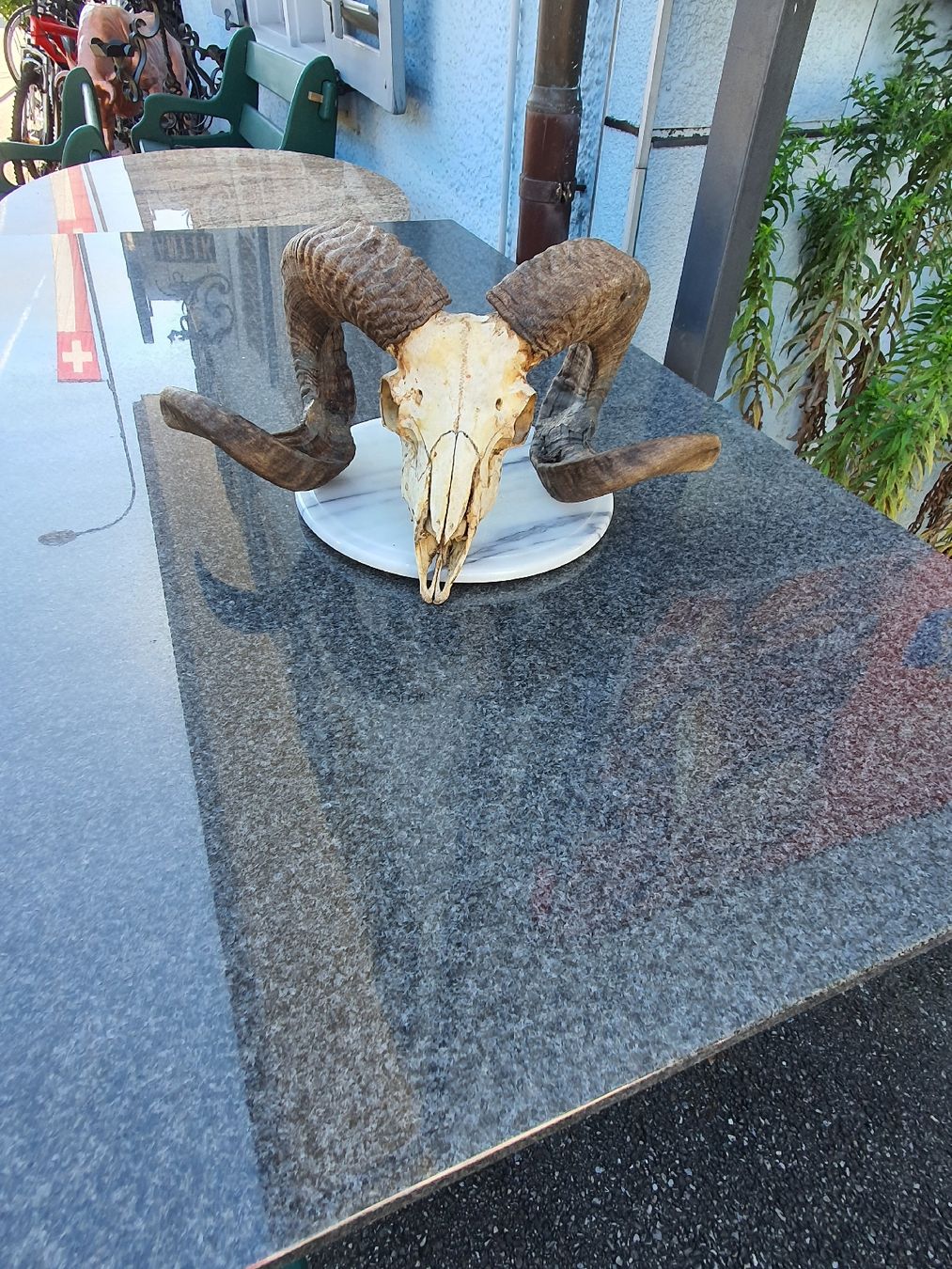 Figuren: Widerkopf – Gebraucht aus Wangen b. Olten von Hecht62xyz