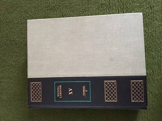 Libri: Enciclopedia universale Rizzoli Larousse – Usato da Losone venduto da car_975q 1