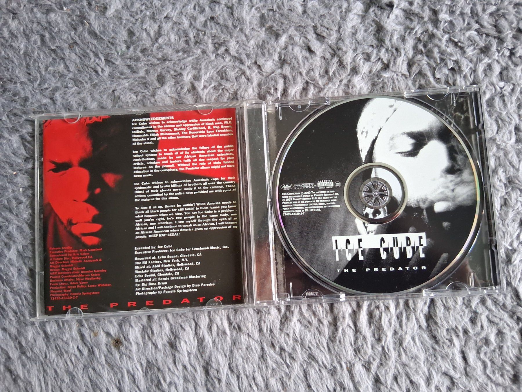 CDs: ICE CUBE    THE PREDATOR     CD – Gebraucht aus Wetzikon ZH von Ramones01 2