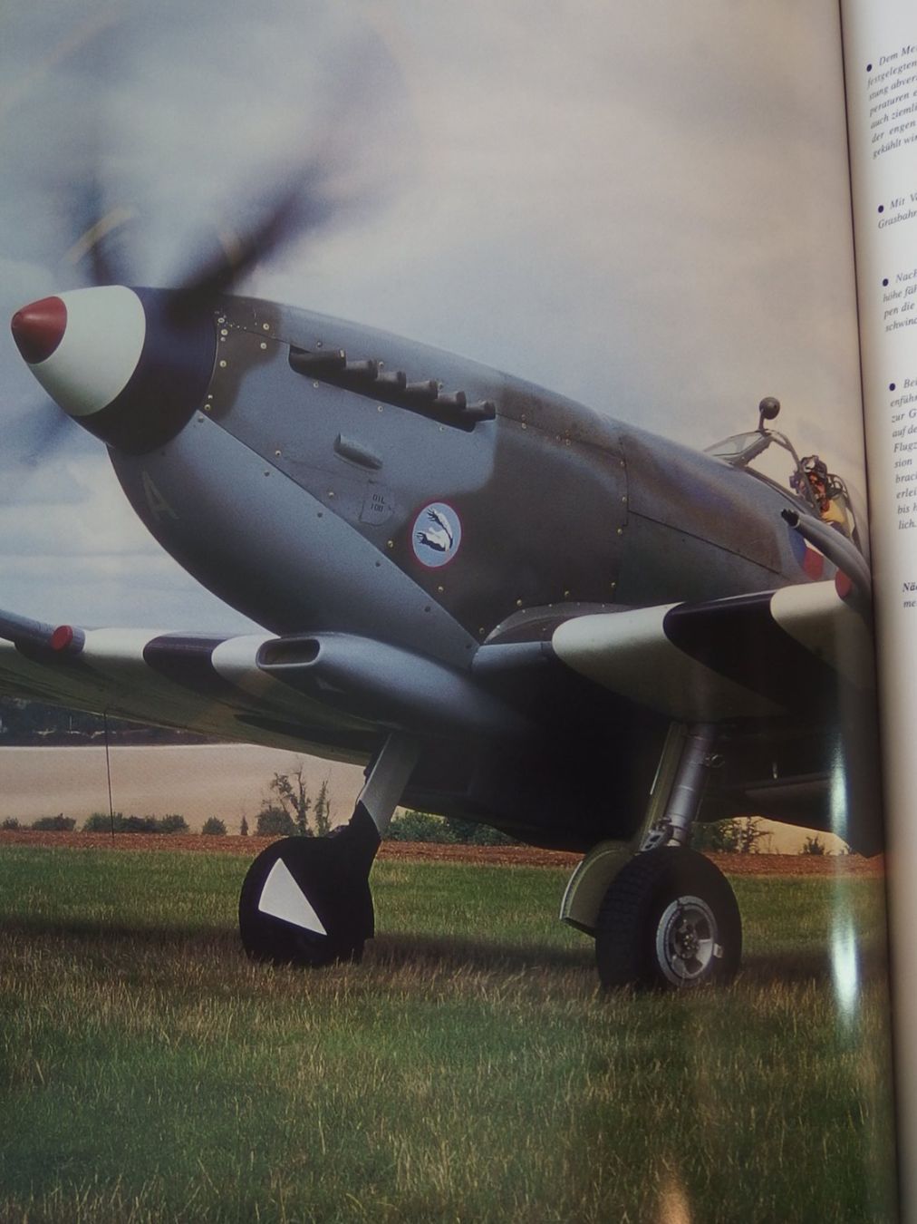 Libri: Spitfire & Messerschmitt BF109 Fachbücher – Usato da Gwatt (Thun) venduto da Nocturnal_99 4