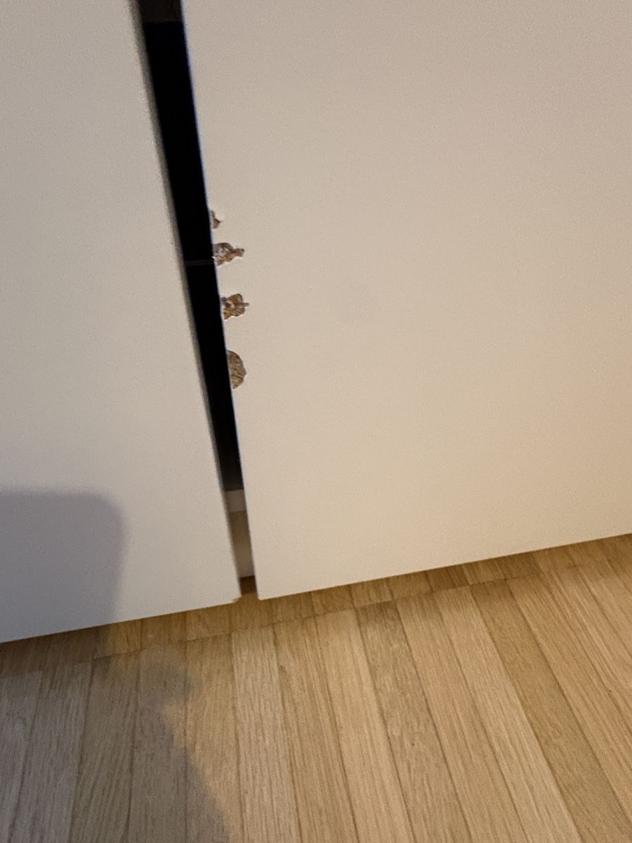Pfister Armadi: Kleiderschrank – Usato da Schwerzenbach venduto da Massage67 2