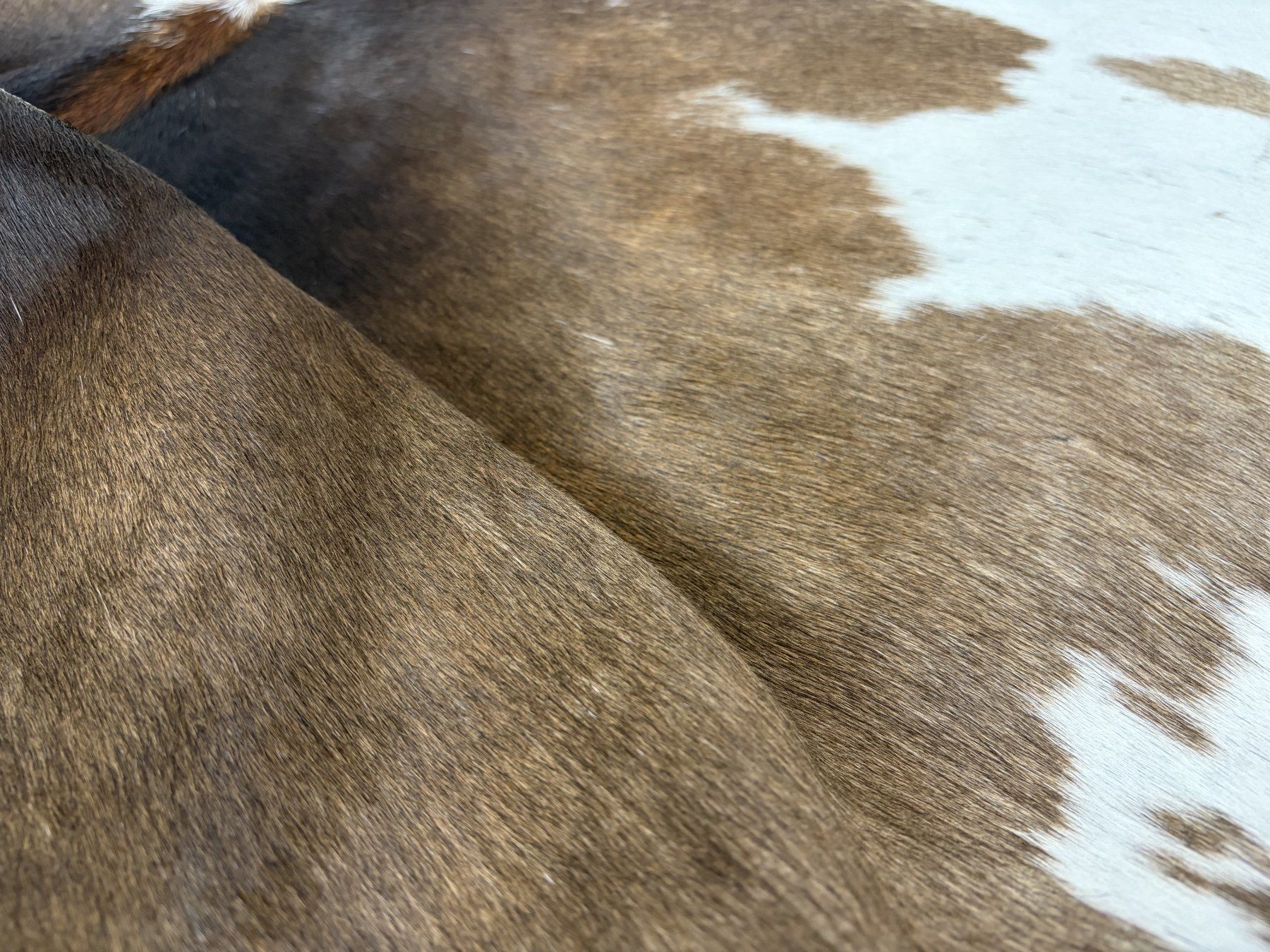Teppiche: echtes Kuhfell Teppich – Neu und originalverpackt aus Arbedo von patagonialeatherrugs 3