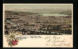 Litho Zürich, Totalansicht vom Berg ges