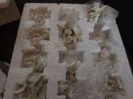 12er Set von Engelfiguren weiss Dekoration neu