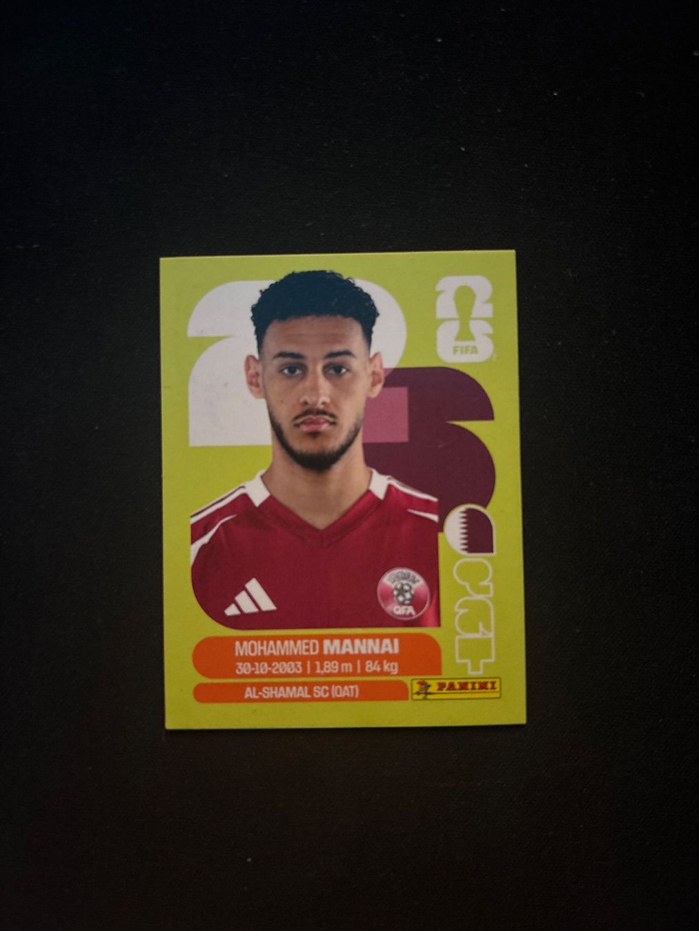 Panini Carte collezionabili: QAT 9 - Panini WM 2026 – Nuovo (secondo la descrizione) da Regensdorf venduto da Blendi