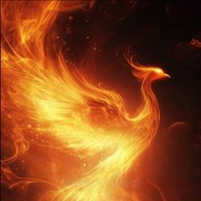 Profile image of Phoenix1012