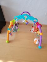 Baby Spielbogen (zusammenfaltbar)