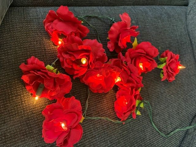 Guirlandes lumineuses: Rosen-Lichterkette, neuwertig – Neuf (Voir description) à Lostorf par Nick1258