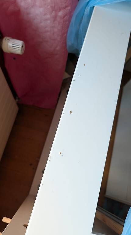 Ikea Letti: FLEKKE Tagesbettgestell – Usato da Neuendorf venduto da borns