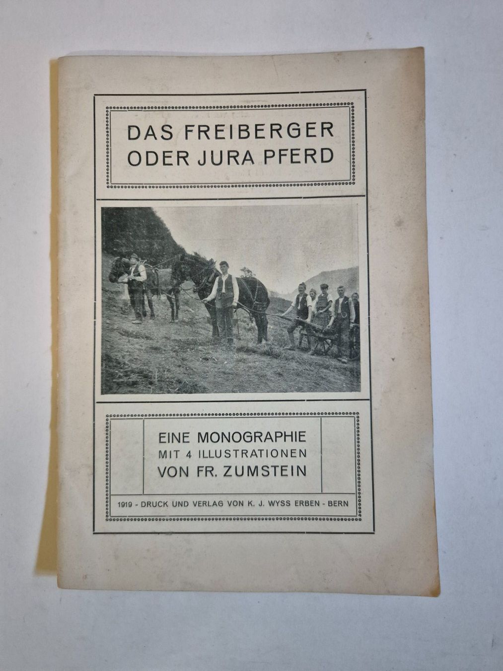 Libri: Das Freiberger oder Jura Pferd Monographie von Fr. Zumste... – Usato da Langendorf venduto da zvonu161