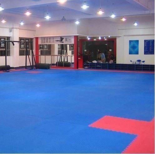Tappetini fitness: Bodenschutz Matte 105x105 cm Trainingsmatte – Nuovo (secondo la descrizione) da Thun venduto da thunshop 2