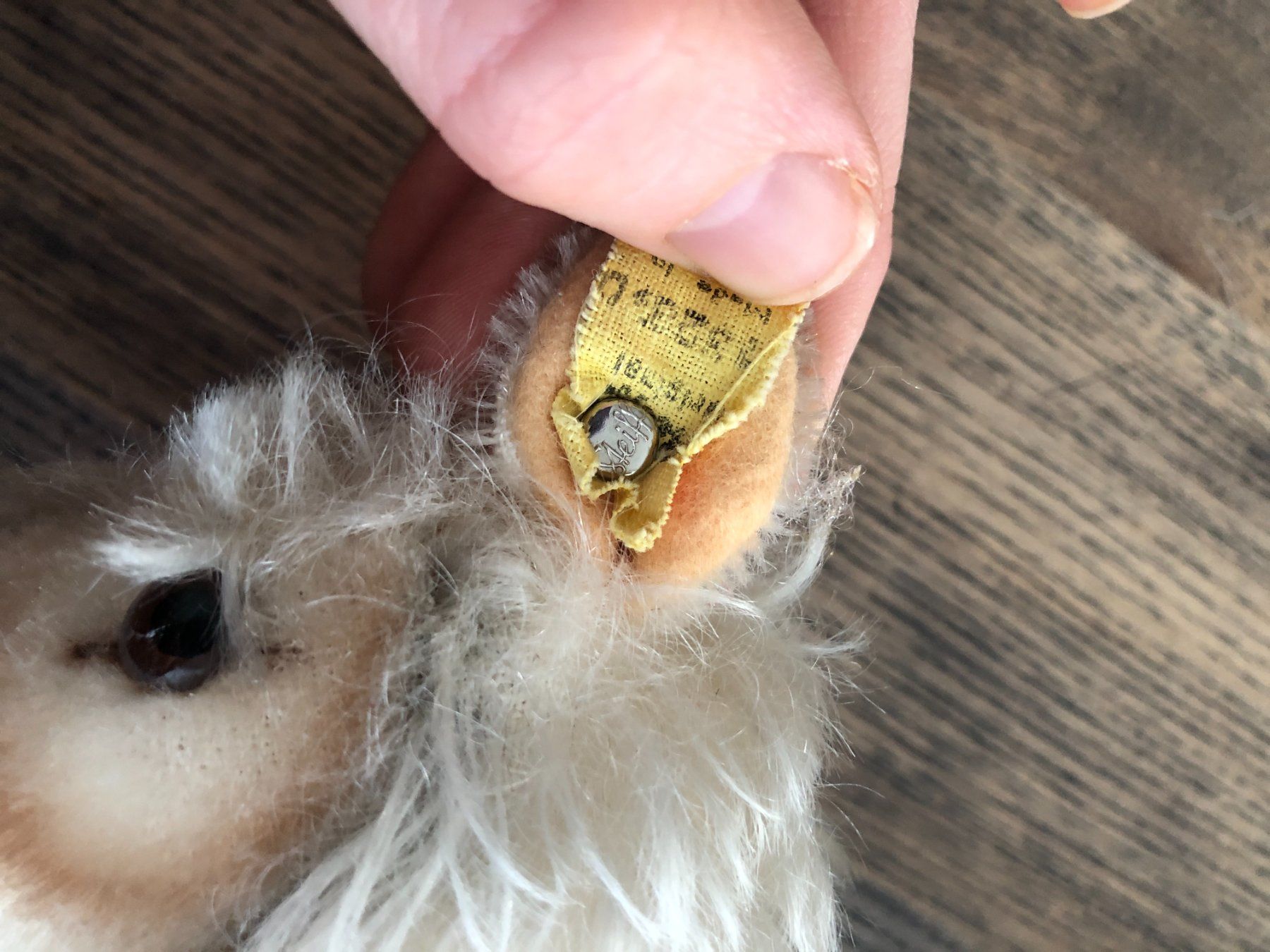 Steiff Spielzeuge: Original STEIFF Lama Stofftier Sammelfigur – Gebraucht aus Berg am Irchel von Zweiti_Chance 6