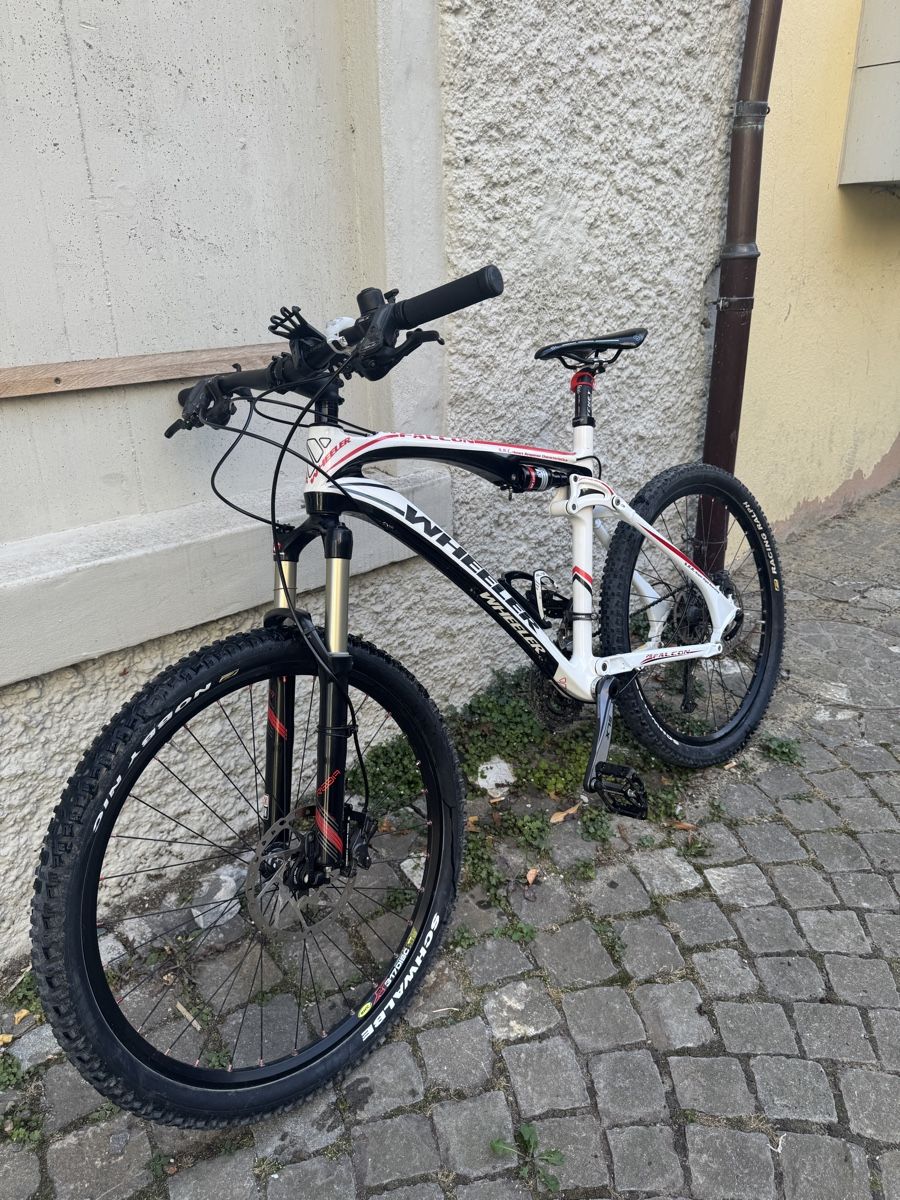Wheeler Biciclette: Wheeler Falcon MTB – Nuovo (secondo la descrizione) da Baden venduto da faebs123