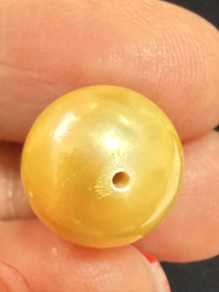 Perle (finte): Echt SüdSee Perlen Goldener Farbe – Nuovo (secondo la descrizione) da Oberhof venduto da RealStone 4